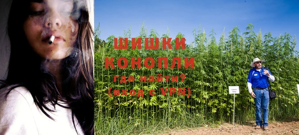 соль курить ск Бородино