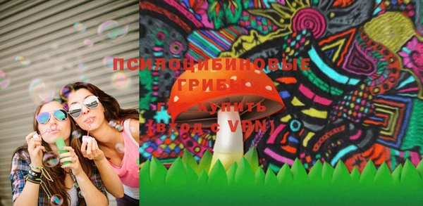 соль курить ск Бородино