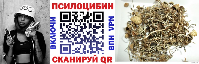 Псилоцибиновые грибы MAGIC MUSHROOMS  Купить закладки  Кяхта 